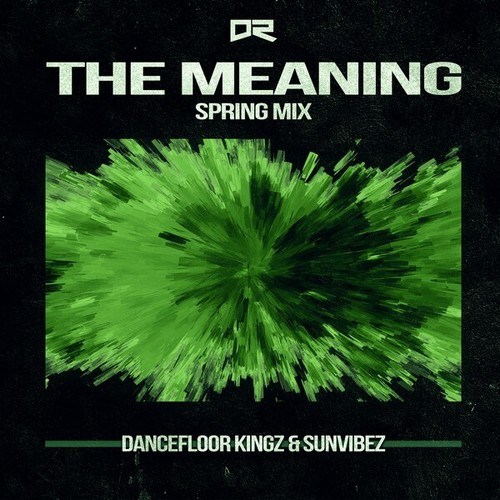 Dancefloor Kingz, Sunvibez-The Meaning (Spring Mix)