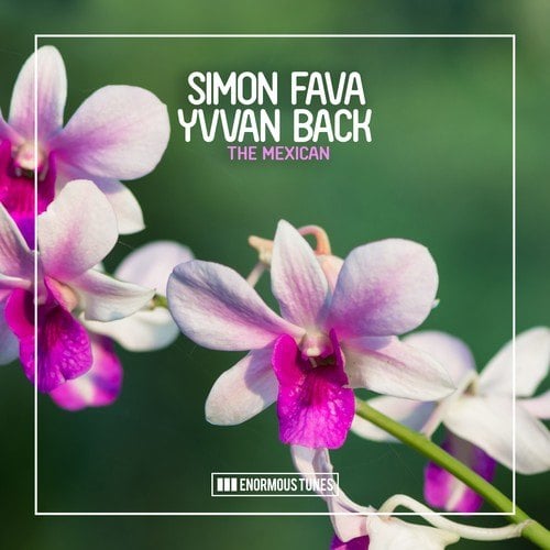 Yvvan Back, Simon Fava-The Mexican