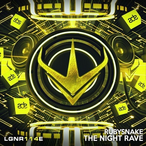 The Night Rave