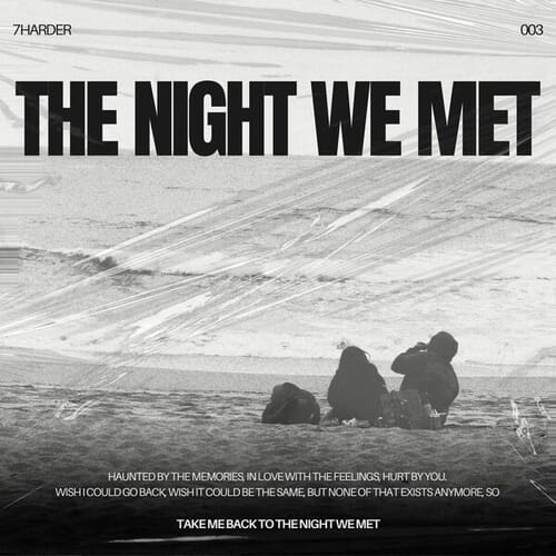 The Night We Met