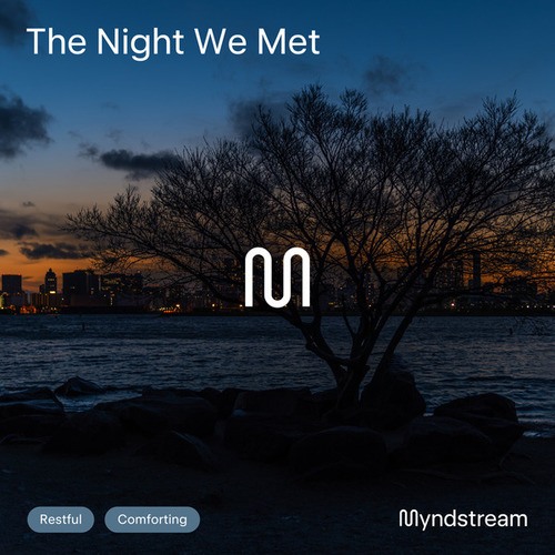 The Night We Met