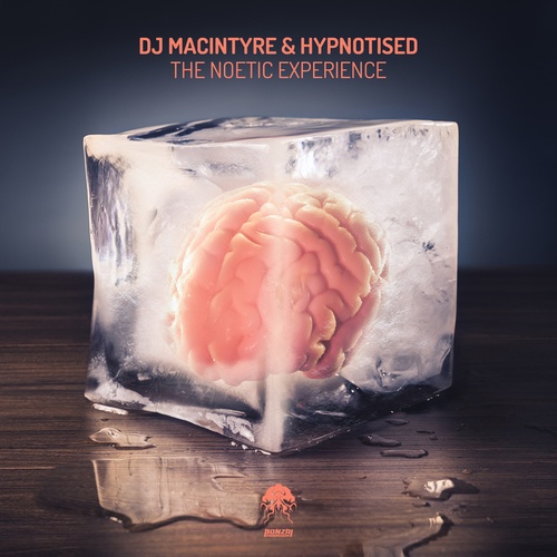 DJ MacIntyre & Hypnotised, D.J. MacIntyre & Hypnotised, Mendexx, Doriaan, Richard Harrington-The Noetic Experience