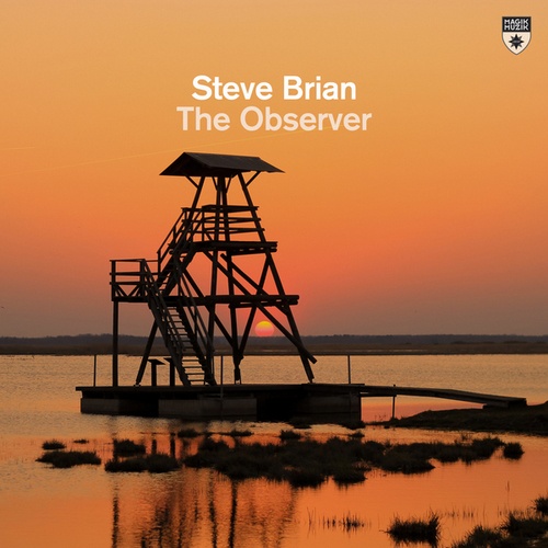 Steve Brian-The Observer