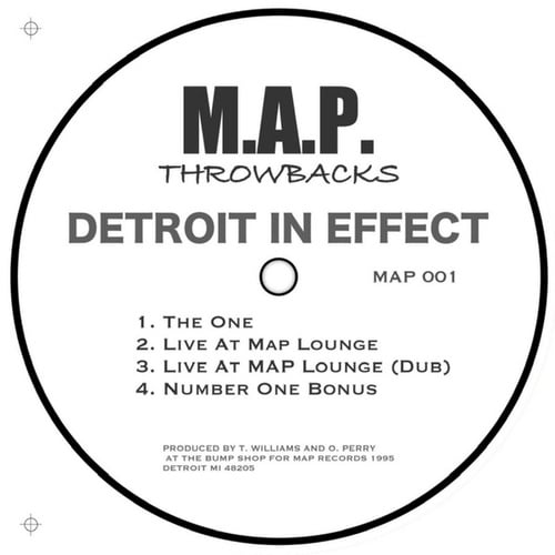 Detroit In Effect-The One