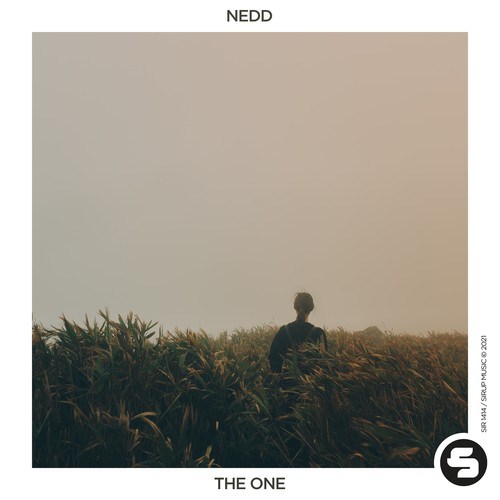 NEDD-The One