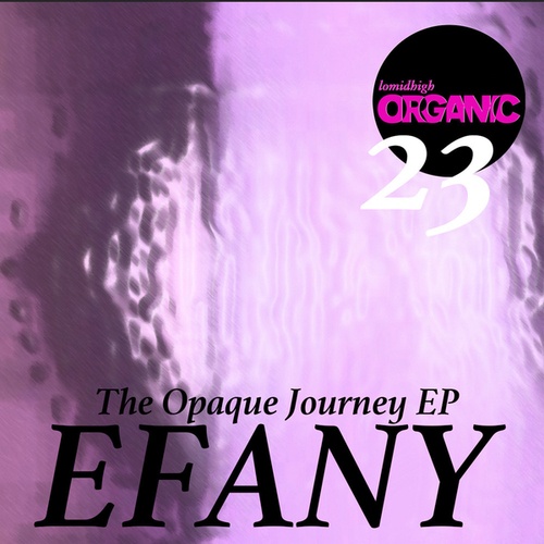 Efany, Morro Parnell, Vidall-The Opaque Journey