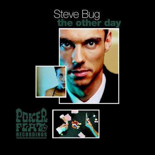 Steve Bug-The Other Day
