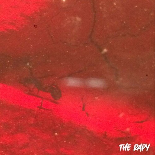 The Rapy