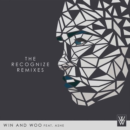 The Recognize Remixes