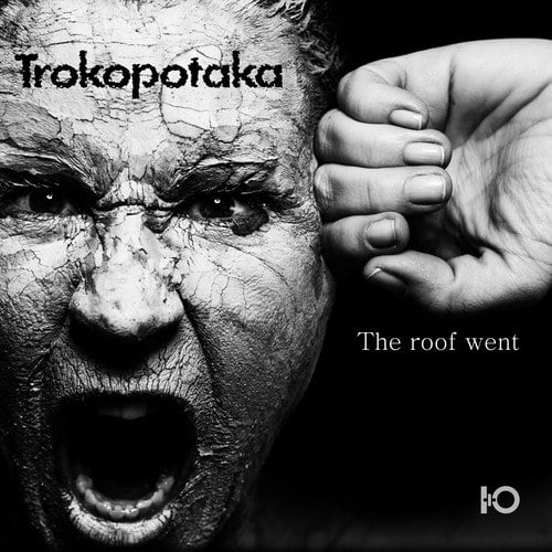 Trokopotaka-The Roof Went