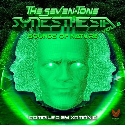 The Seven Tone Synesthesia, Vol. 2