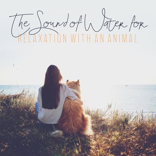 The Sound of Water for Relaxation with an Animal (Peace, Meditation, Relief, Quiet Time)