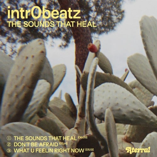 Intr0beatz-The Sounds That Heal