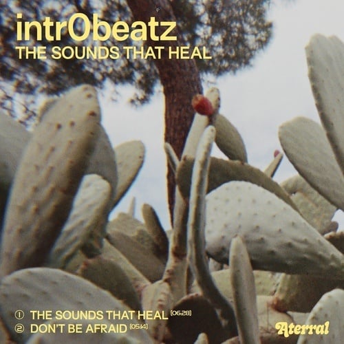 Intr0beatz-The Sounds That Heal