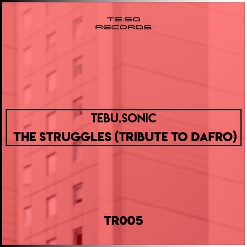 Tebu.Sonic-The Struggles (Tribute to Dafro)