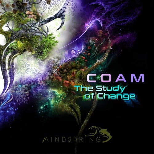 COAM-The Study Of Change