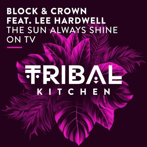 Block & Crown, Lee Hardwell-The Sun Always Shine on TV (Original Mix)