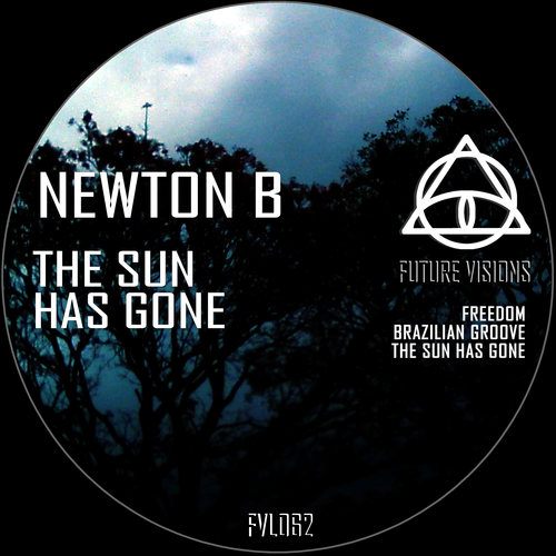 Newton B-The Sun Has Gone