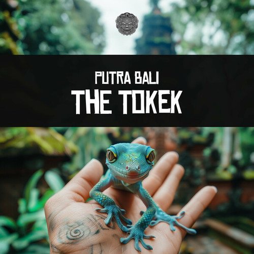 The Tokek