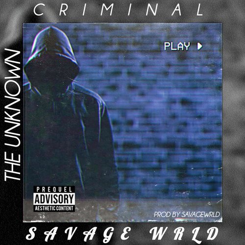 THE UNKNOWN CRIMINAL