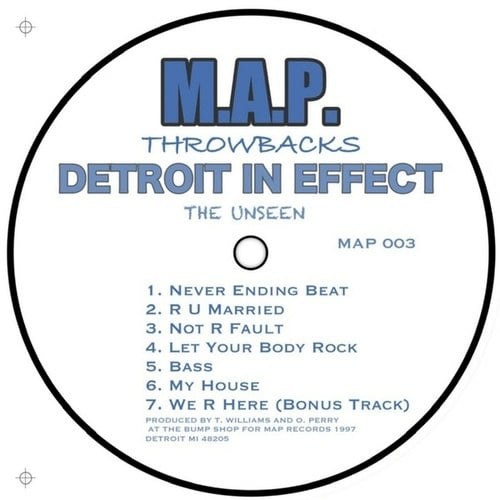 Detroit In Effect-The Unseen