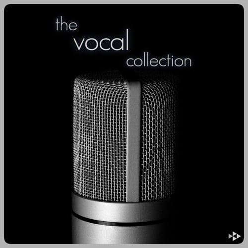 Various Artists-The Vocal Collection