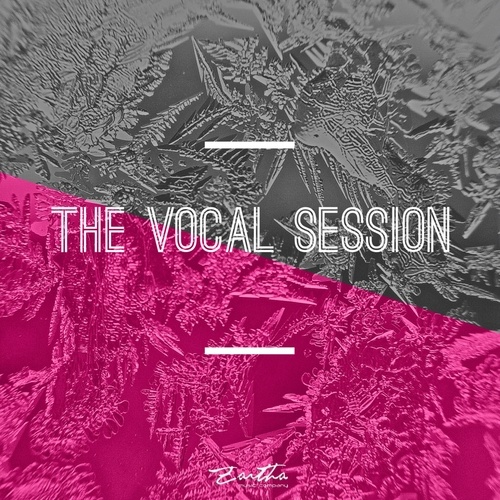 Various Artists-The Vocal Session