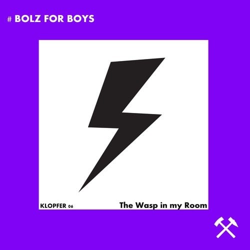 Bolz For Boys-The Wasp in My Room