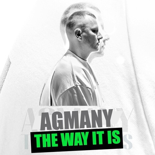 Agmany-The Way It Is