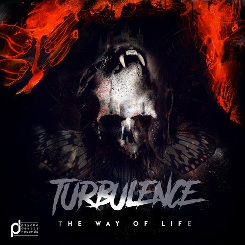Turbulence-The Way of Life