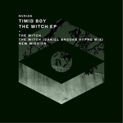 Timid Boy, Daniel Brooks-The Witch EP