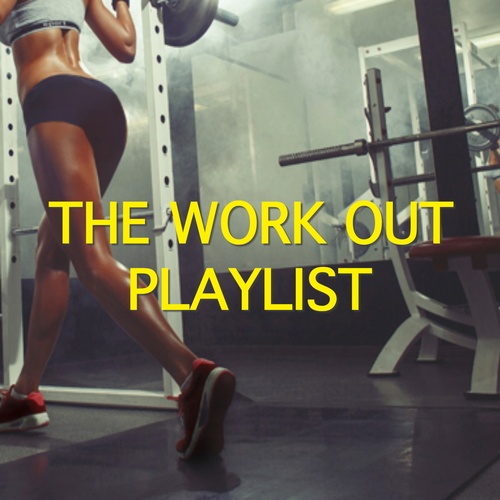 Various Artists-The Work Out Playlist