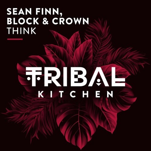 Sean Finn, Block & Crown-Think (Extended Mix)