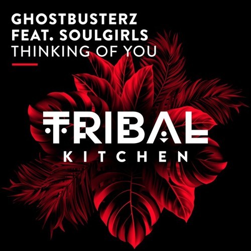 Ghostbusterz, Soulgirls-Thinking of You