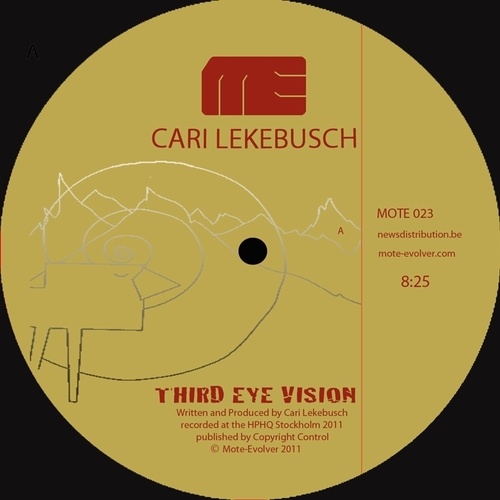 Cari Lekebusch-Third Eye Vision
