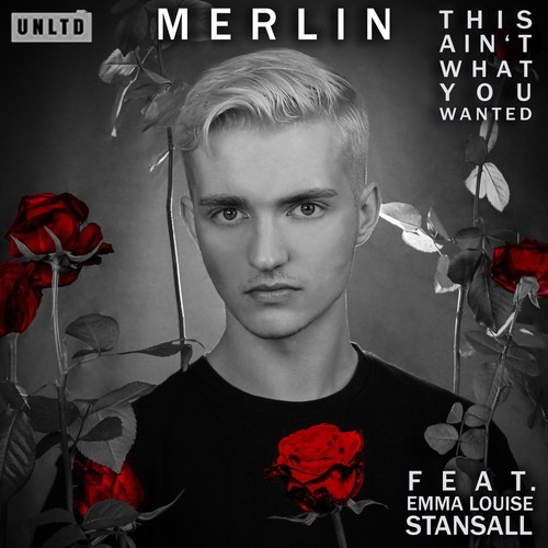 Merlin, Emma Louise Stansall-This Ain't What You Wanted (Original Mix)