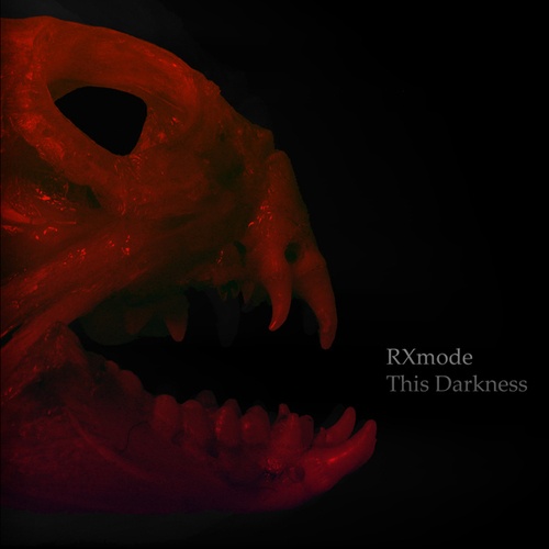 RXmode-This Darkness