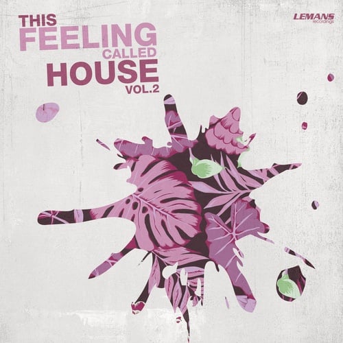 Various Artists-This Feeling Called House, Vol. 2