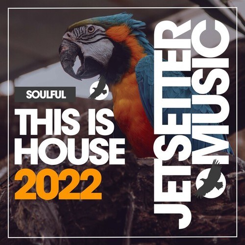 Various Artists-This Is Soulful House 20222