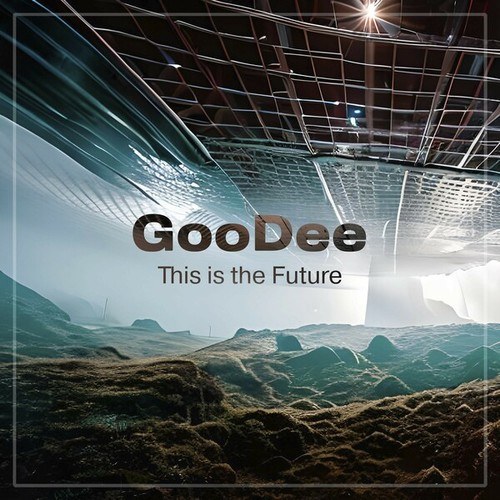 GooDee-This Is the Future
