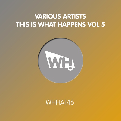 Various Artists-This Is What Happens Vol 5