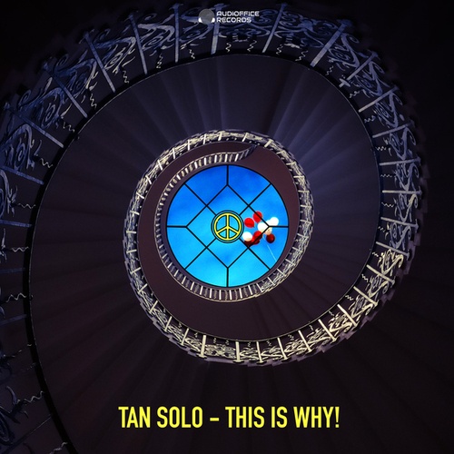 Tan Solo-This Is Why!