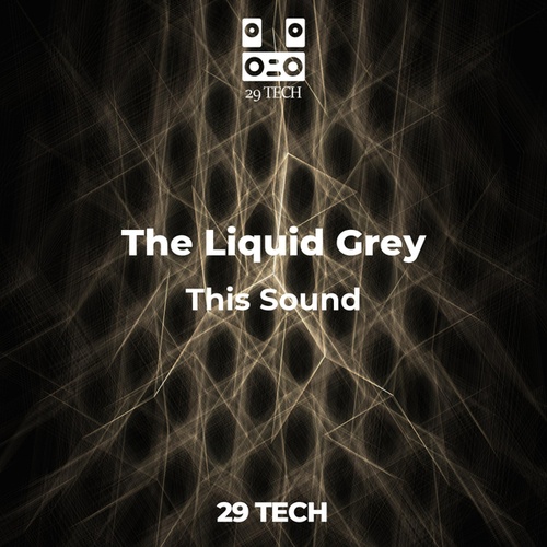 The Liquid Grey-This Sound