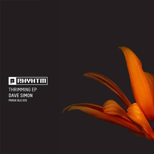 Dave Simon-Thrimming EP