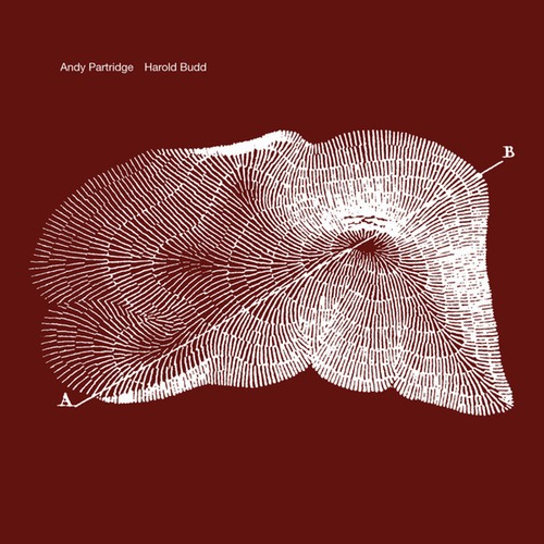 Andy Partridge, Harold Budd-Through The Hill