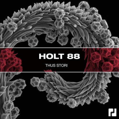 Holt 88-Thus Stori