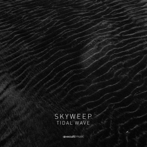 Skyweep-Tidal Wave / Wild World