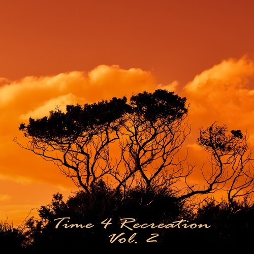 Various Artists-Time 4 Recreation, Vol. 2
