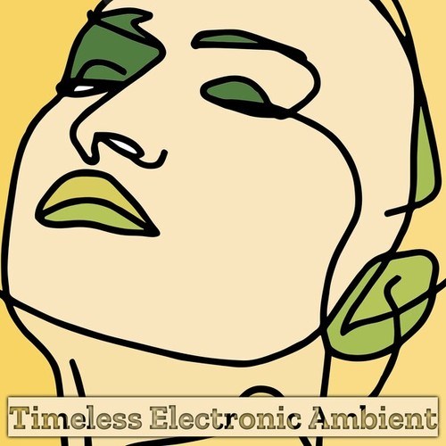 Various Artists-Timeless Electronic Ambient