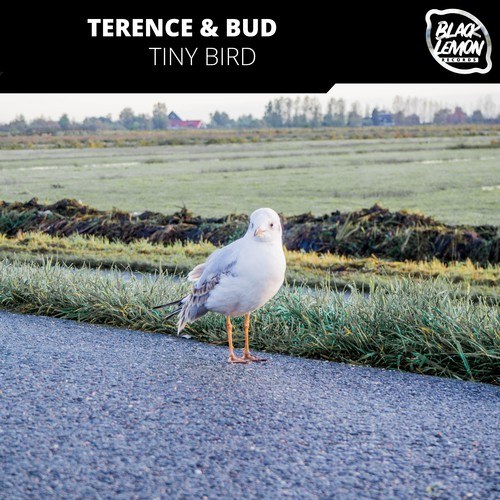 Terence & Bud-Tiny Bird